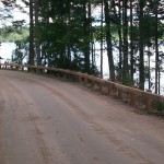 Wooden Guardrail